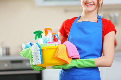 Croydon Carpet Cleaners secure payment methods and protected checkout