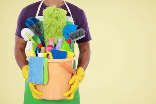 Professional carpet cleaning in a Croydon home interior