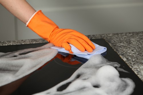 Professional pet stain odour removal in Croydon on carpet
