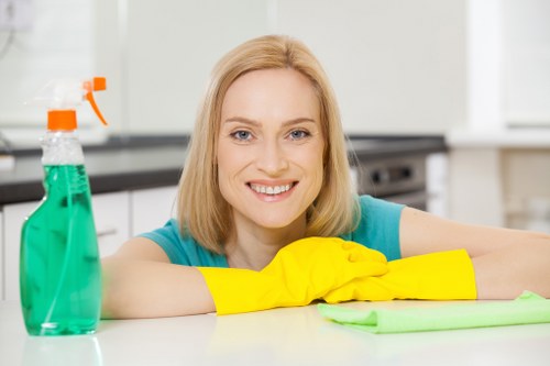 Professional upholstery cleaning for chairs and sofas in Croydon