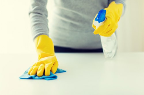 Stain removal and carpet care in a Croydon property