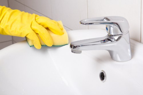 Specialist upholstery deodorising after pet accidents