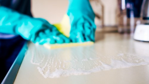 Technician preparing carpet for steam cleaning in Croydon