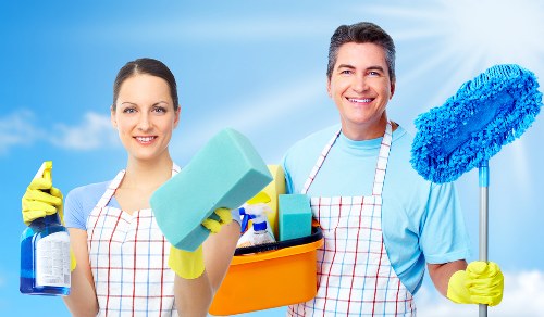 Deep carpet cleaning for pet odour removal in Croydon