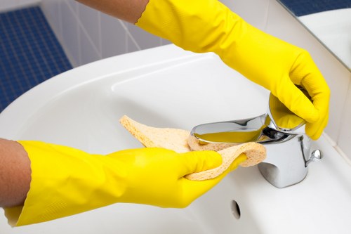 Local waste separation and recycling practices in Croydon